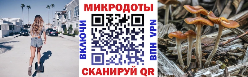 Галлюциногенные грибы Psilocybine cubensis  Углегорск 